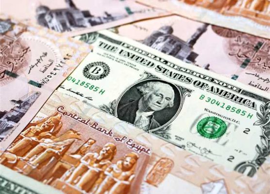 كيف يؤثر ارتفاع سعر صرف الدولار على أسعار العقارات في مصر عام 2024؟