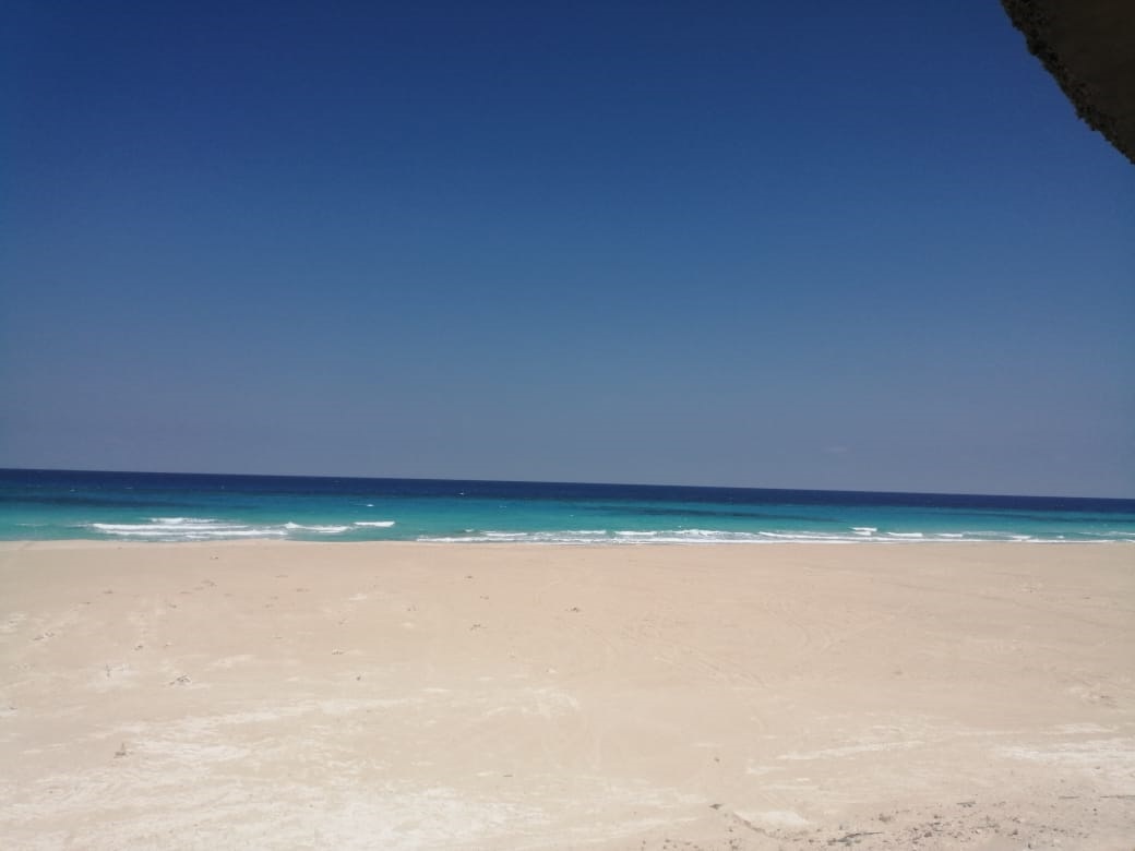 S BAY – ازميرالدا باى الساحل الشمالى WhatsApp Image 2021 05 05 at 10.38.30 PM 2