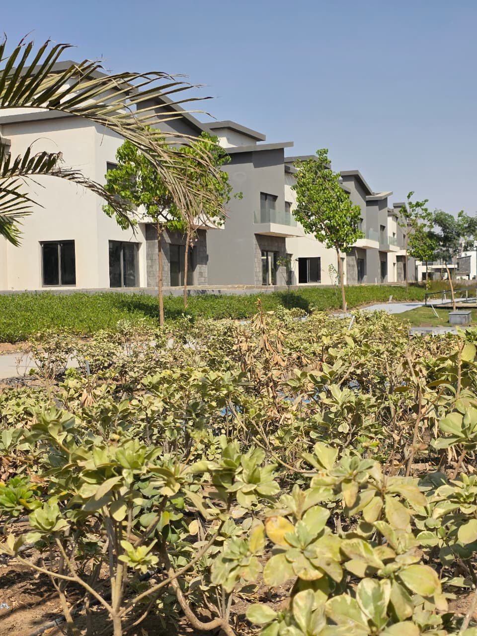 Creek Town - كريك تاون القاهرة الجديدة WhatsApp Image 2025 09 29 at 4.32.16 PM 4